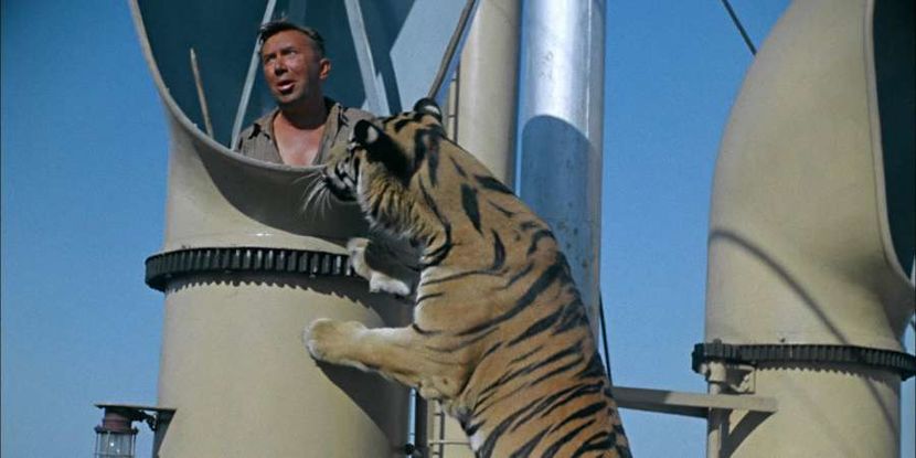 А как насчет советских фильмов? Вспомните «Полосатый рейс». Кто смог усмирить выбравшихся из клеток тигров?