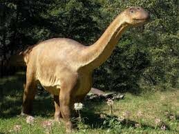 Тест: Сможете ли Вы угадать динозавра по фото? (картинка 3)