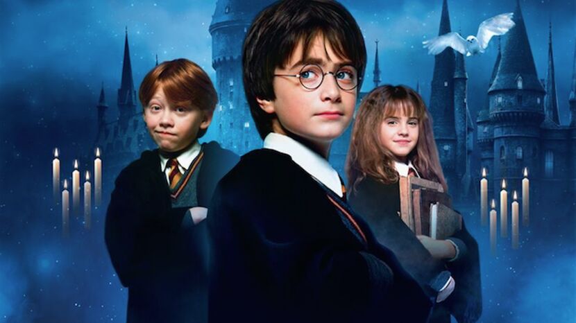 В какой школе учился Гарри Поттер?