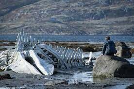 Как метафора чего используется морское чудовище Левиафан в одноименном российском фильме 2014 года?