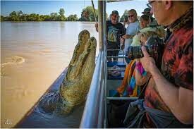  Гребнистый крокодил — самый крупный из современных пресмыкающихся нашего времени. А сколько зубов у этого опасного хищника?