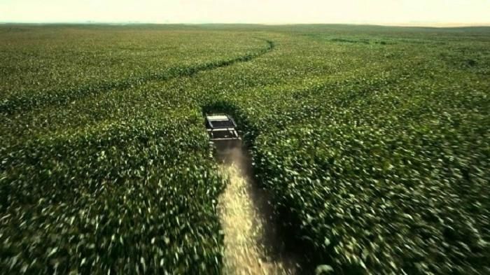 Кристофер Нолан для съемок фильма «Интерстеллар» вырастил настоящее кукурузное поле. 