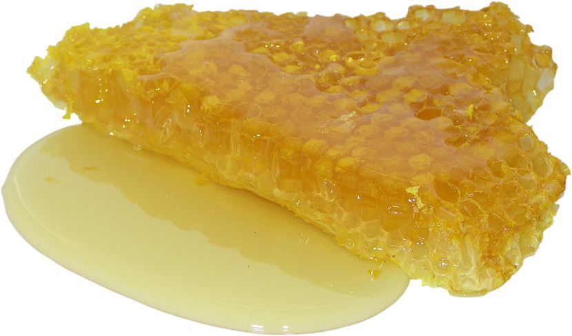 Могут ли веганы употреблять мед?