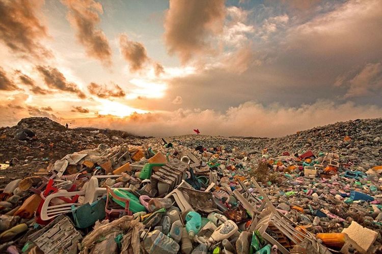 Что из этих видов мусора разлагается тысячу лет?