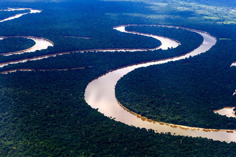 Какая река самая длинная в мире?