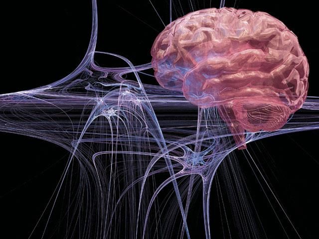 Какая скорость нервного сигнала в нашем организме?