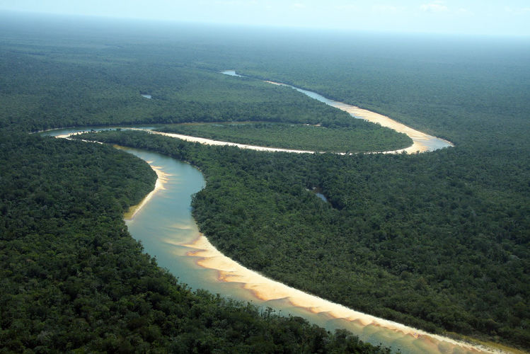 Какая из этих рек протекает в Южной Америке?