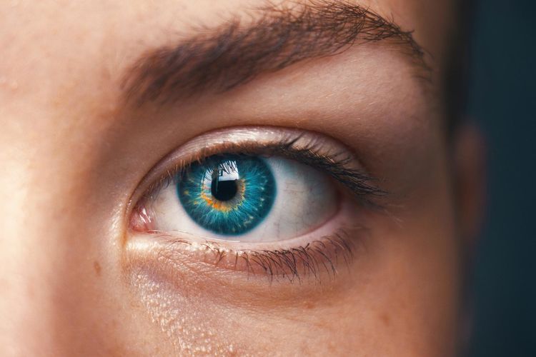 Какое научное название имее разный цвет радужной оболочки глаз?