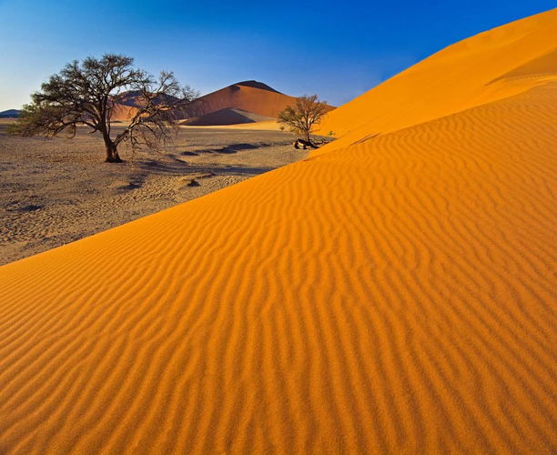 Сколько процентов занимают на Земле пустыни?