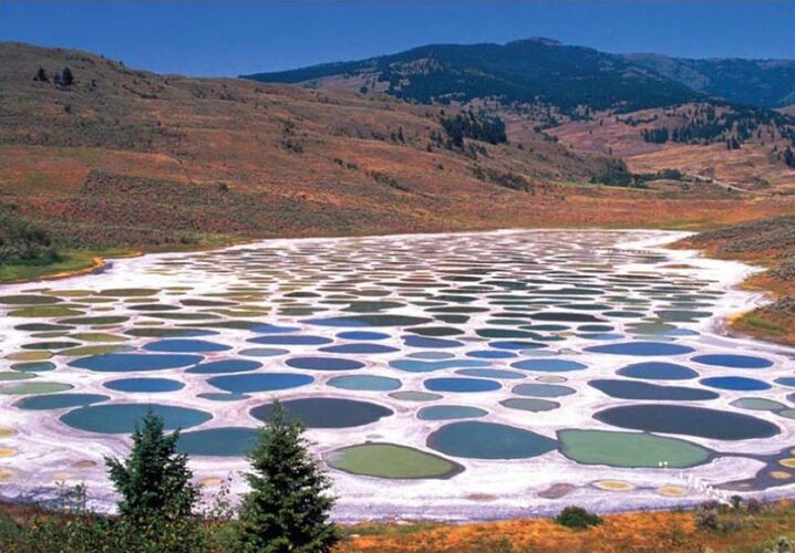 Так выглядит уникальное озеро Клилук в Канаде – причина такой “пятнистости” в высокой концентрации минеральных солей? Правда или ложь?