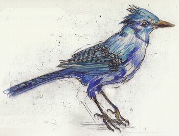 Болтрушайка, или толкунолька (англ. Jobberknoll) (ⅩⅩ) — это ....... синяя крапчатая птичка. 