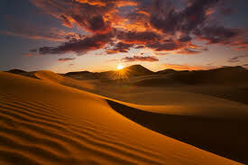 Пустыня Сахара ежегодно увеличивается в размерах примерно на: