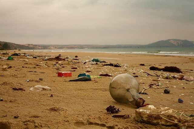 Какой мусор чаще всего находят на берегах океана?