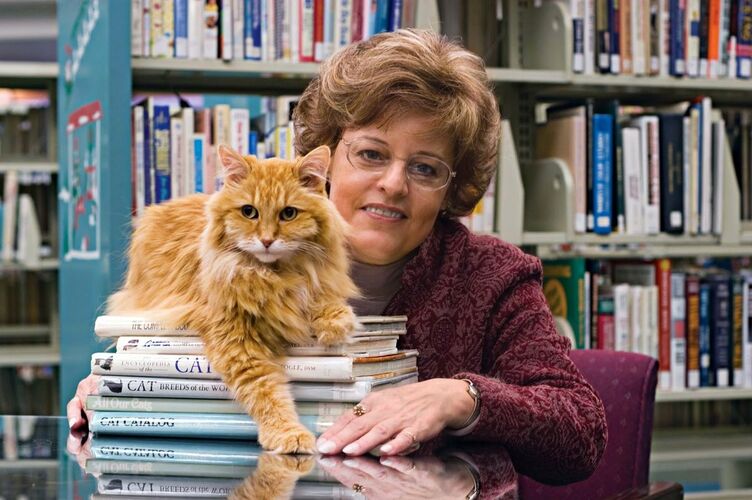 Герой книги Вики Майрон «Дьюи. Кот из библиотеки, который потряс весь мир»  реально существовавший кот по кличке Дьюи, который прожил 19 лет в библиотеке маленького городка Спенсера и стал настоящим талисманом не только библиотеки, но и всего города. В какой стране жил кот?