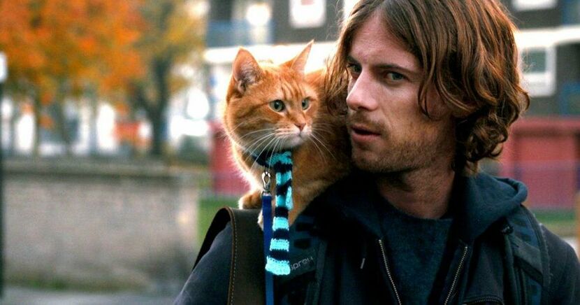 Этот бездомный рыжий кот стал героем серии книг писателя и музыканта Джэймса Боуэна, а затем и одноименного фильма, снятого по этому произведению. Как звали кота?