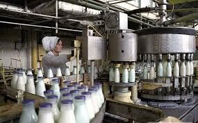 Какой была стандартная цена на 0,5-литровую бутылку молока и кефира нормальной жирности (3,2-3,5%) в I ценовом поясе СССР?