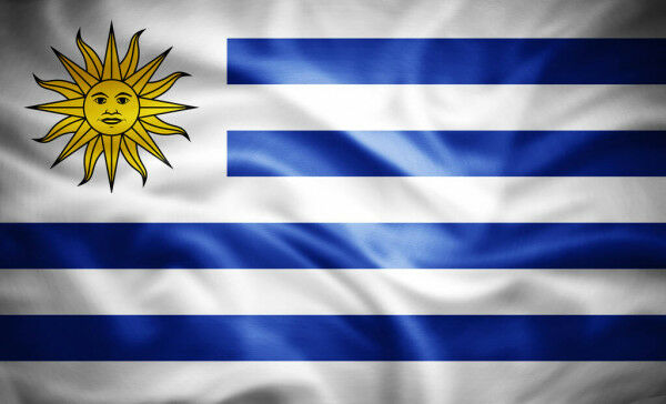 Тест: Флаги стран Южной Америки (картинка 10)