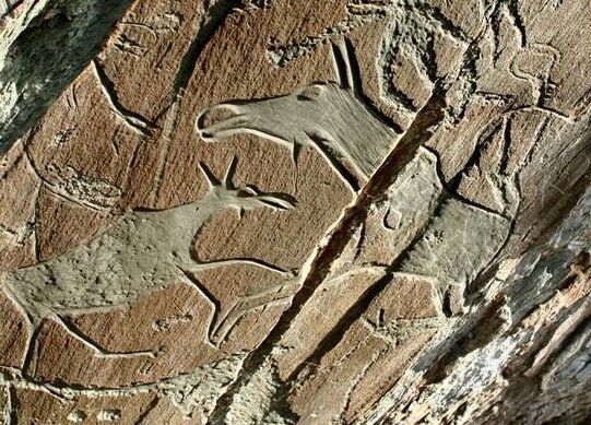 На правом берегу р.Томь  находятся уникальные рисунки древних людей-петроглифы. Назовите этот музей- заповедник.
