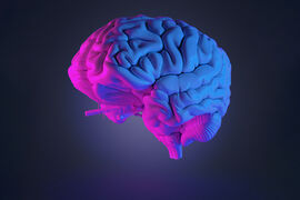 Насколько хорошо Вы знаете свой мозг?