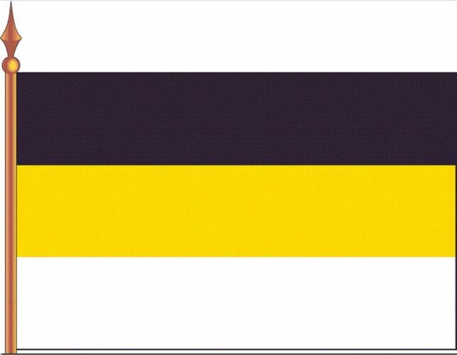 Этот император утвердил в 1858  году в качестве флага Российской империи триколор, состоявший из полос чёрного, жёлтого и белого цветов. 
