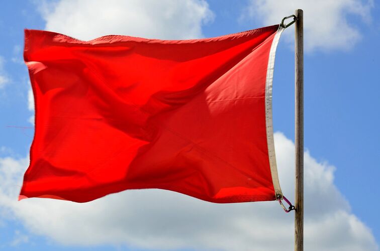  Кем и когда, было предложено в качестве Государственного флага красный  стяг?
