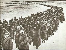Сколько немцев было взято в плен под Сталинградом?