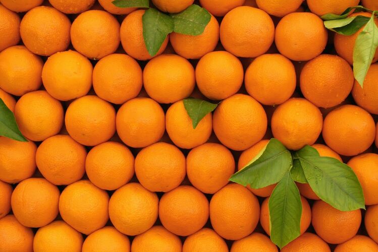 Какая из этих стран НЕ является крупным поставщиком апельсинов?
