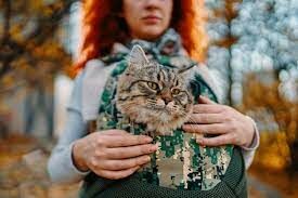 Шла женщина в Москву, а навстречу – три мужика. У каждого по мешку, в каждом  - по кошке. Сколько существ направлялось в Москву?