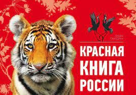 Какое из перечисленных ниже млекопитающих занесено в Красную книгу России?