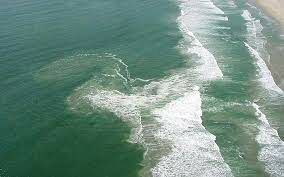  Морские течения — интересное явления. Их разделяют на несколько видов. Какого вида морских течений не существует?