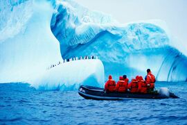 Правда или ложь: интересные факты об Антарктике