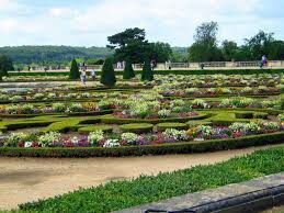 Какую площадь сегодня занимают сады Версаля?