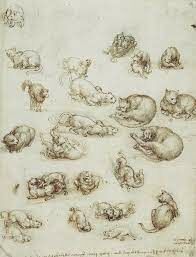 На этом изображении вы видите работу Леонардо да Винчи. Это зарисовки кошек и...