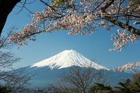 Сколько официальных маршрутов на вершину горы Фудзи?