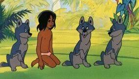 Кто учил юных волчат в мультфильме «Маугли»?