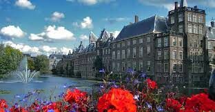 Нидерланды считаются страной тюльпанов. Кто завез луковицы этих цветов в страну в 1500-х годах?
