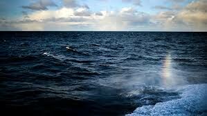  Какой из островов Карского моря был открыт в 1924 году советским океанографом в процессе изучения дрейфа «Святой Анны»...