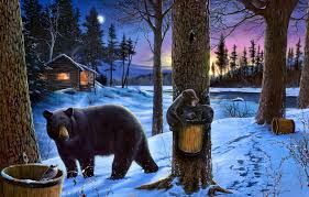   Как называют медведя, который просыпается посреди зимы из-за опасности или голода?