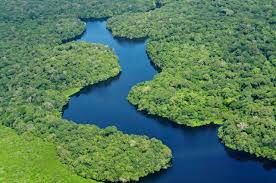 Слияние рек Мараньон и Укаяли в Южной Америке — это исток реки...