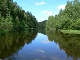 Единственная река вытекающая из Ладожского озера — это...