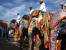 У индийского слона один хватательный отросток на конце хобота  и два нароста на лбу, а у африканского их...