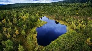   Какое количество озер насчитывается в Финляндии?