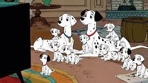   Все мы родом из детства и любим смотреть мультики. Где родилась порода пятнистых собак — героев мультфильма «101 далматинец»?