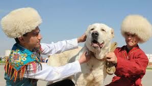 Как называются в Таджикистане чистокровные среднеазиатские овчарки?