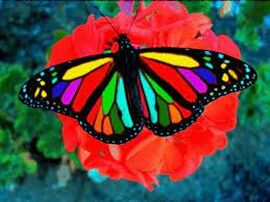 Тест для любителей живой природы: самые красивые бабочки мира. Что вы о них знаете?