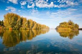 Река Дон протекает через город Семикаракорск. В каком регионе России он расположен?