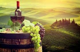  Где производят 20% итальянских вин?