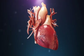 Тест: Что ты знаешь о сердце?