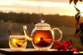 Тест для любителей чая: 20 разных вопросов о целебном напитке 