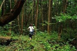 Тест для знатоков природы: 20 вопросов о лесе - отовсюду обо всём...